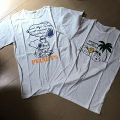 Item thumbnail for item 0d9fce36-5560-414a-a973-87d13c5443d8