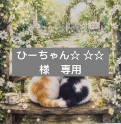 ひーちゃん☆ ☆☆様　専用