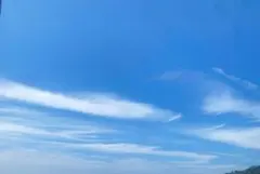 すみっこ様