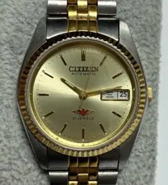 Item thumbnail for item 9bf1de20-4afa-4572-867a-b1eb45e125e2