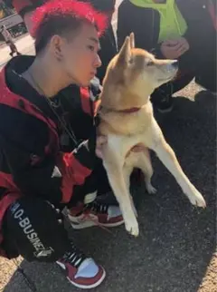 Eveさん着用』gray Dog face printed 柴犬 - メルカリ