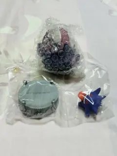 ポケモン 光り輝くしんぴのキセキ ゲンガー