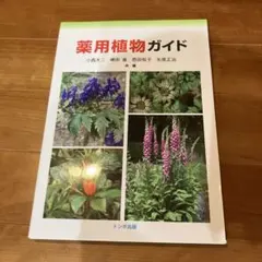 Item thumbnail for item 9e2fa4ad-86b9-4b93-9588-39375dcc1b60