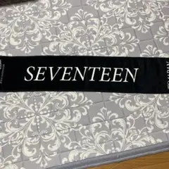 SEVENTEEN TOUR FOLLOW TO JAPAN タオルのサムネイル