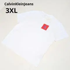 【海外限定品】Calvin Klein Tシャツ 3XL ホワイト CKロゴ 白