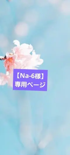 【Na-6様】4点