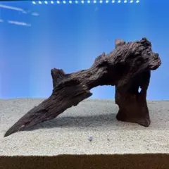 ホーンウッド 水槽用 熱帯魚 爬虫類 流木 一点物 - メルカリ