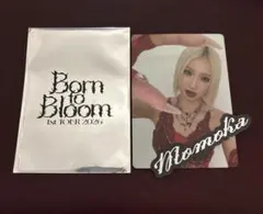 HANA モモカ トレカ