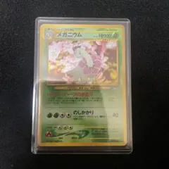 旧裏【メガニウム】【状態A】プレミアムファイル PROMO 第1世代No.154