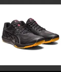 ASICS バレーボールシューズ ローテジャパンライト　24.5 未使用 楽天市場】ローテジャパン（靴サイズ（cm）24.5）（スポーツ