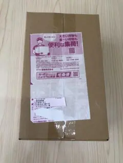 【新品未開封】ポケモンセンター フクオカ スペシャルボックス