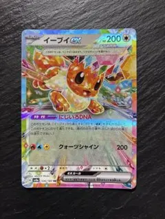 2026年最新】イーブイex rrの人気アイテム - メルカリ