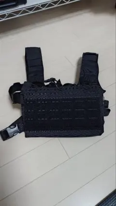 チェストリグ 実物