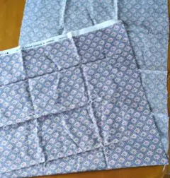 Item thumbnail for item 3a021a84-98ee-412a-8a37-b9f12e66458b