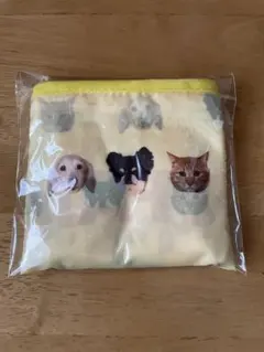 Item thumbnail for item c0d8b127-0dcf-4529-a15f-64f31dd6cd5f