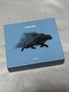 新品 a flood of circle 夜空に架かる虹 テイチクオンライン限定