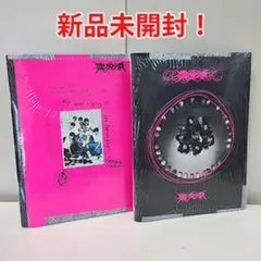 【新品・未開封】Stray Kids / 樂-STAR ROCK-STAR 2枚
