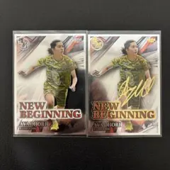 Item thumbnail for item 64f7abe1-02b7-4c43-bb89-41cee097ec9e