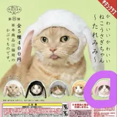 かわいいかわいいねこうさぎちゃん　〜たれみみ〜　ピンク