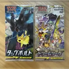 ポケモンカード　タッグボルト、ドリームリーグ　未開封パック【6569