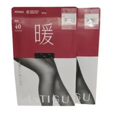 ATSUGI　アツギ　アスティーグ　40デニール　2足　L〜LL