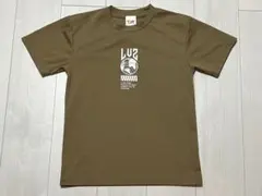 Item thumbnail for item a8ea4b04-f694-4fee-8294-f02a04c79aaf