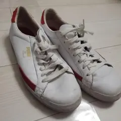 Item thumbnail for item dfa57c3e-443b-49bb-882f-01d417523ddd