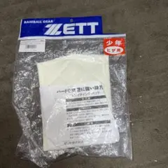 Item thumbnail for item 6177fc13-8d45-4b50-b33f-2819ee01182c