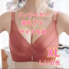 育乳 s