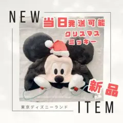 新品　ディズニー　クリスマス　ミッキー　ファンキャップ　2025 ディズニー