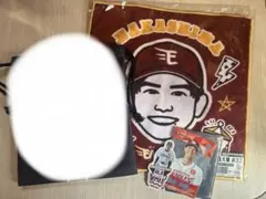 東北楽天ゴールデンイーグルス