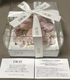 Item thumbnail for item 51bad64d-3e17-4c24-8e9e-a1586454178f