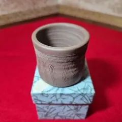 Item thumbnail for item a9e36036-31dd-4177-93d2-9d8fc2d879c0