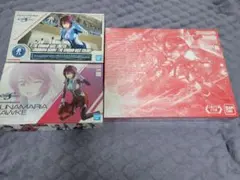 MGガナーザクウォーリアー(クリア)　ルナマリア通常カラー&ガンダムベースカラー