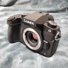Panasonic LUMIX DMC-G8 ミラーレス一眼カメラ