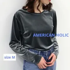 AMERICAN HOLIC 　ベロアクルーネックカットプルオーバー　グレー　M
