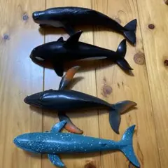 海の生き物　フィギュア　セット