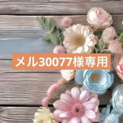 メル30077様専用 ハンドメイド　レジン　ヘアゴム