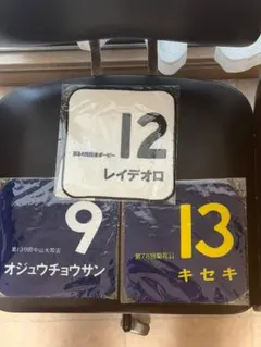 競馬　ゼッケンタオル　3枚セット