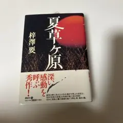 夏草ヶ原 梓沢要