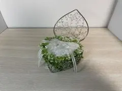 Item thumbnail for item 8acecf1d-2c07-4d7d-8605-60a2324a7d8e