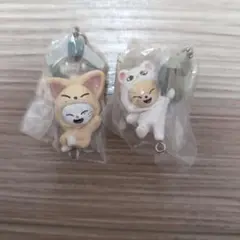 SKZOOつまんでつなげてますこっとvol.2 ジニレットフォクシニー