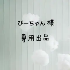 ＊専用出品＊