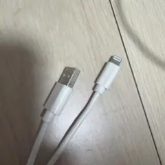 ELECOM USB-A to Lightningケーブル