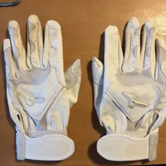 Item thumbnail for item ce93395d-3269-4084-9397-08474bf9a223