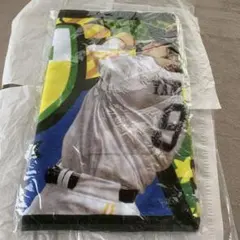 Item thumbnail for item b192702c-df6c-43bb-9884-0313f8816eca