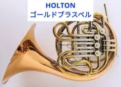 2026年最新】フレンチホルン本体の人気アイテム - メルカリ