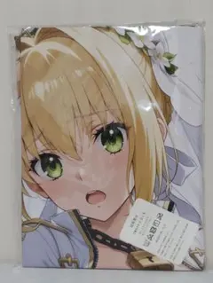 新品未開封 富士浅間堂 抱き枕カバー カナリィ ポケモンレジェンズZ-A