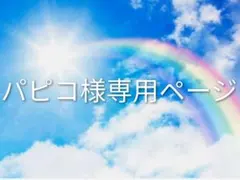 パピコ様専用ページ