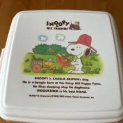 平成⭐︎レトロ⭐︎SNOOPY⭐︎ランチボックス⭐︎ピクニックケース(小)⭐︎角型⭐︎３段⭐︎